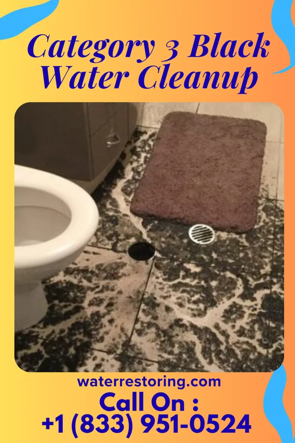 Category 3 Black Water Cleanup in Cuyamungue Grant, NM