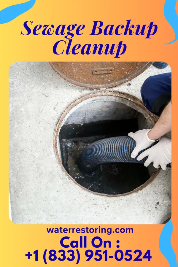 Sewage Backup Cleanup in Cuyamungue Grant, NM