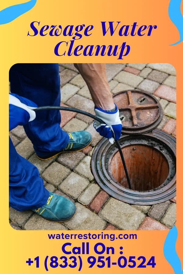 Sewage Water Cleanup in Cuyamungue Grant, NM